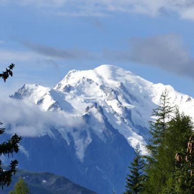 Jolie vue sur le Mont Blanc