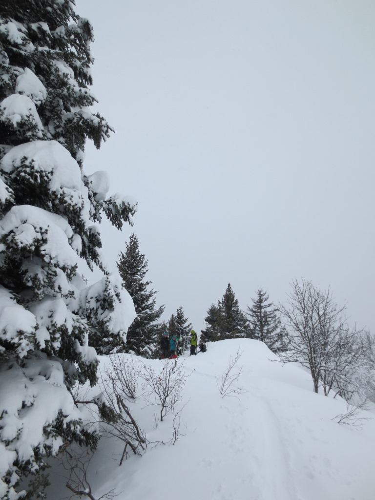 Arrivée au sommet de la Foilleuse