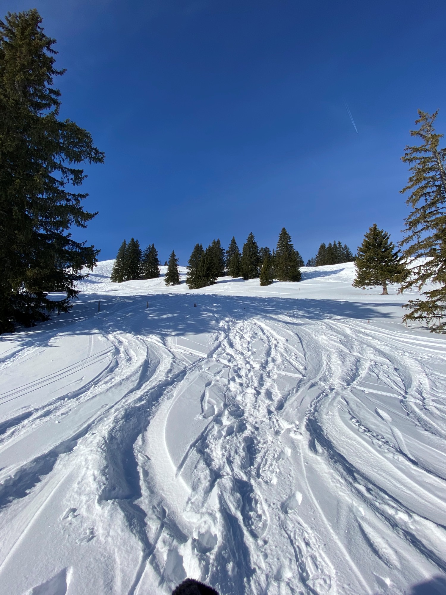 La neige est belle de ce côté