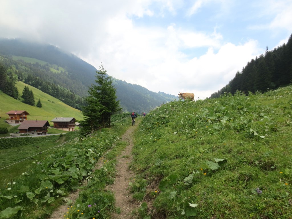 Au plat après Morgins