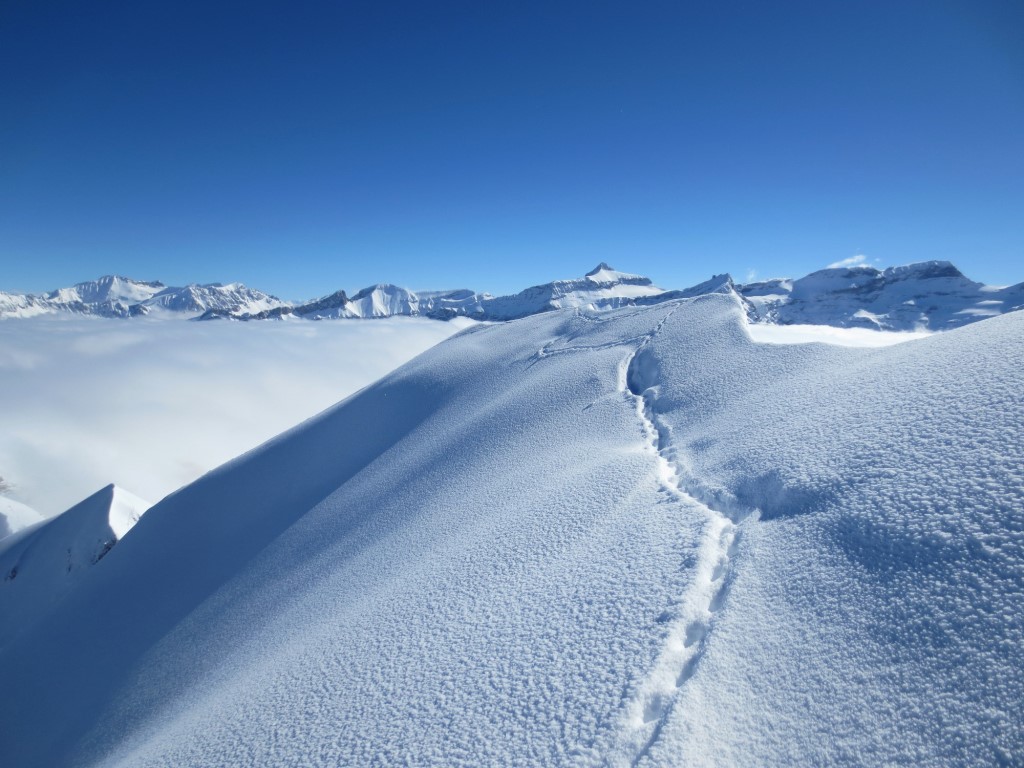 Les Diablerets depuis le sommet