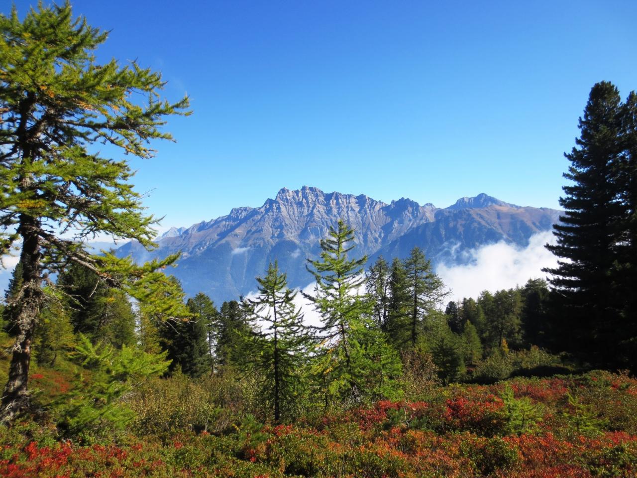 Dts de Morcles et Chavalard depuis Sur Frête