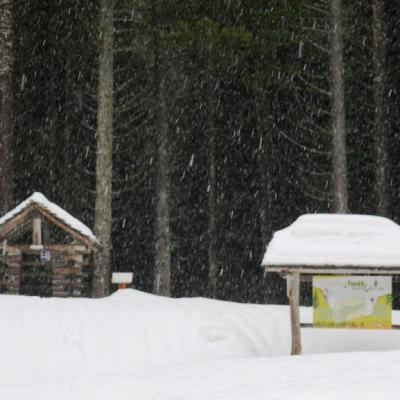 Il pleut-neige toute la journée