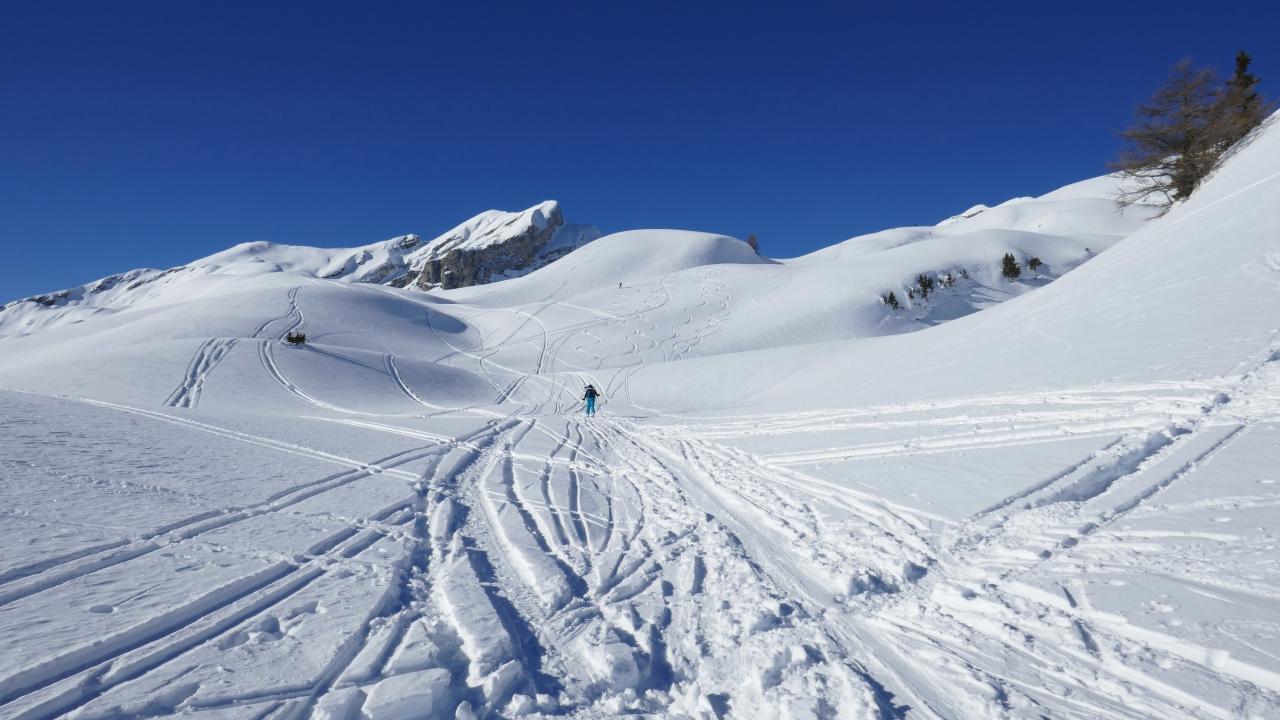 Vue sur le Mont Gond