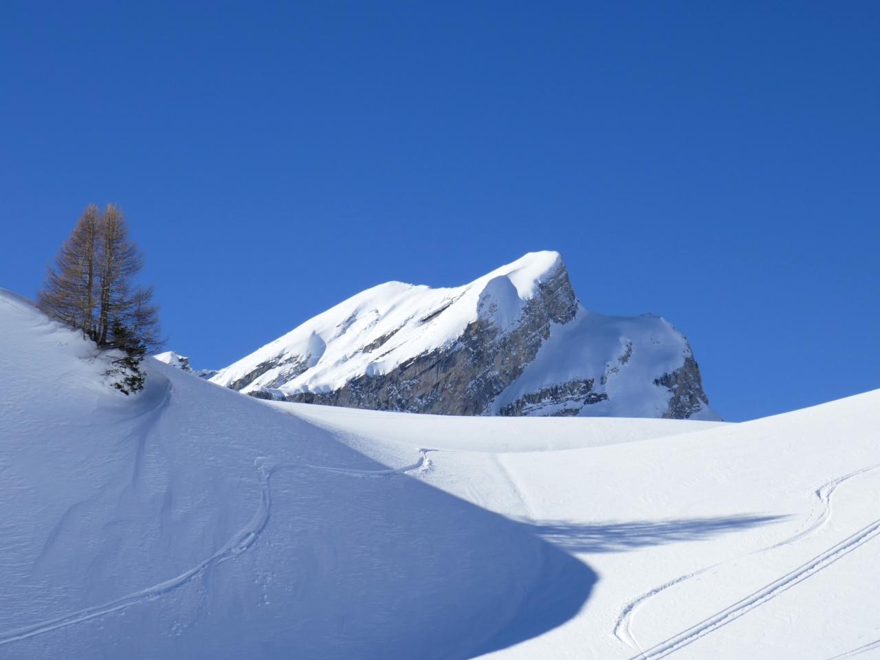 Le Mont Gond