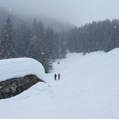 2018_03_017 Ski Rogneux CASCM, la clairière