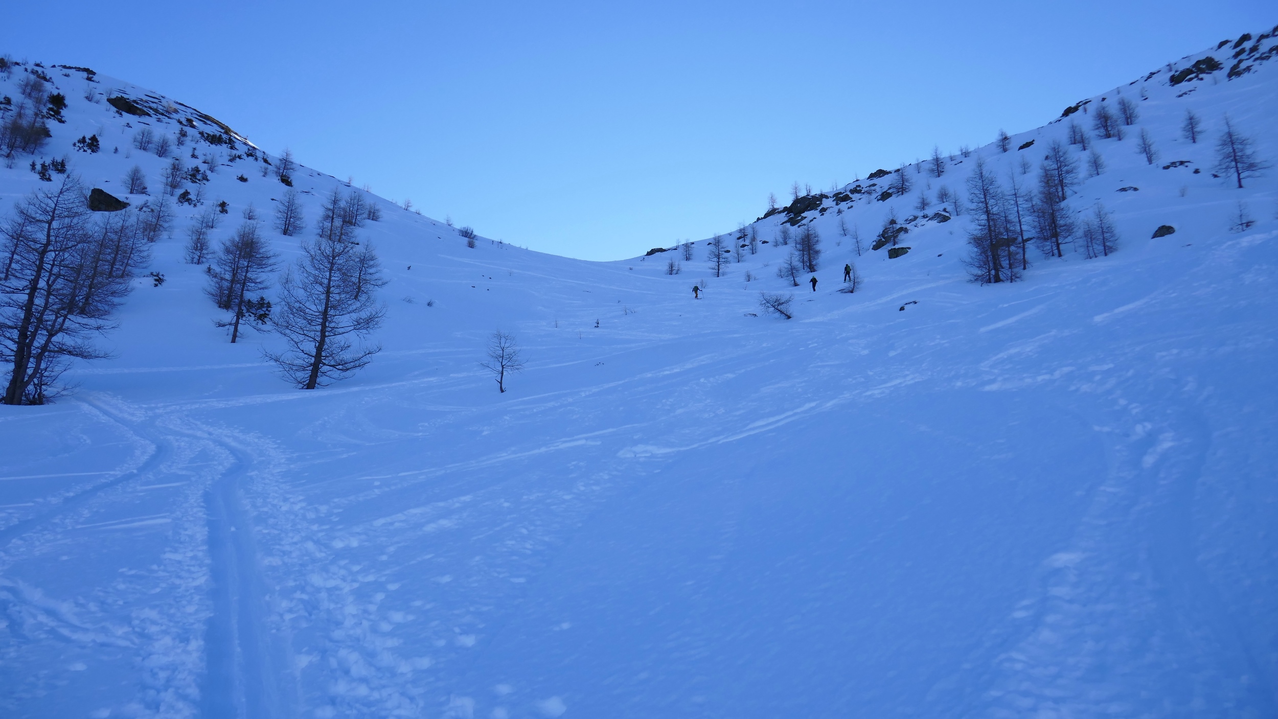 Haut de la combe de la Giète, avant Bovine