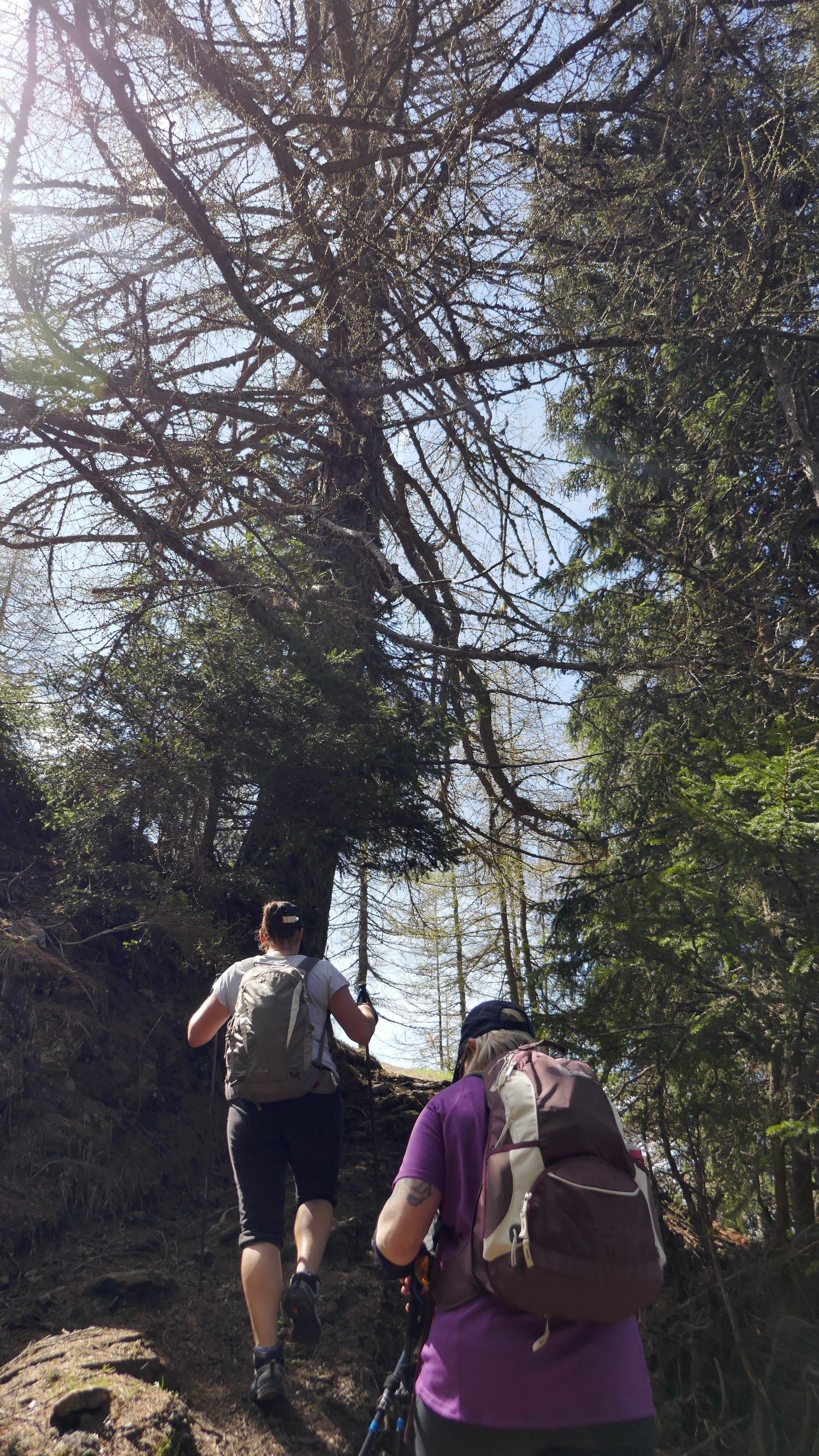 Sur la crête des Blisiers