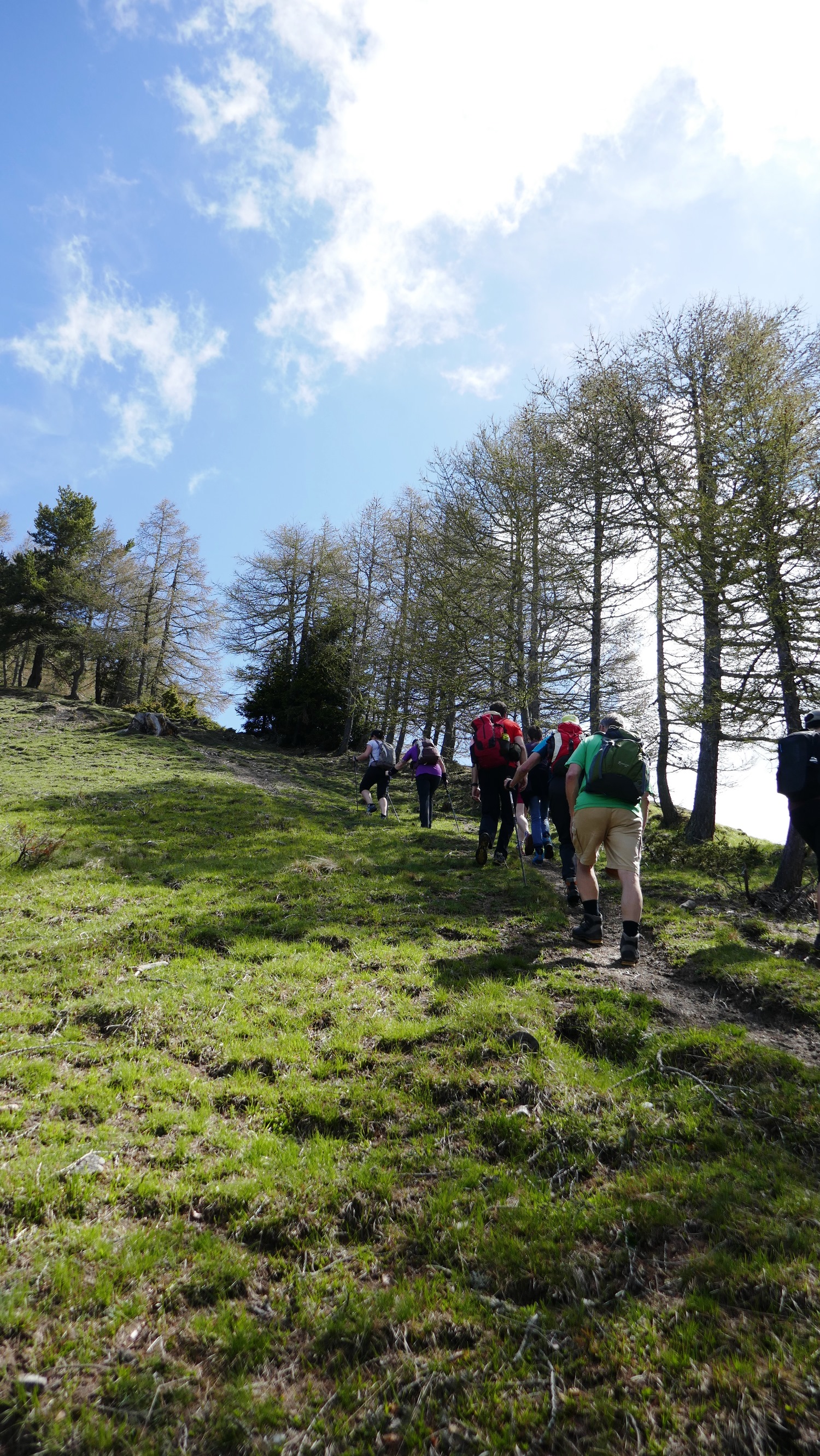 Sur la crête des Blisiers