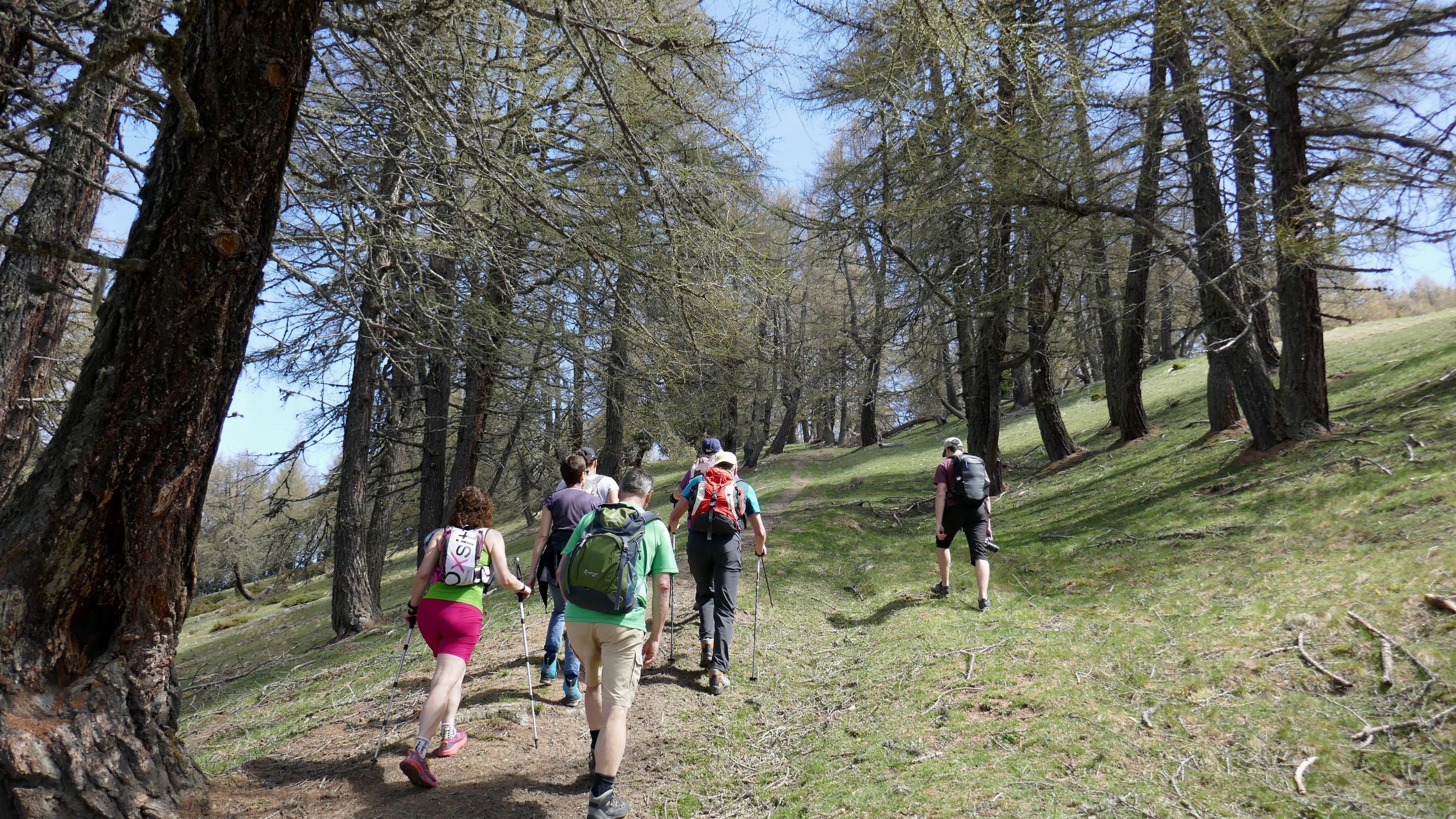 Sur la crête des Blisiers