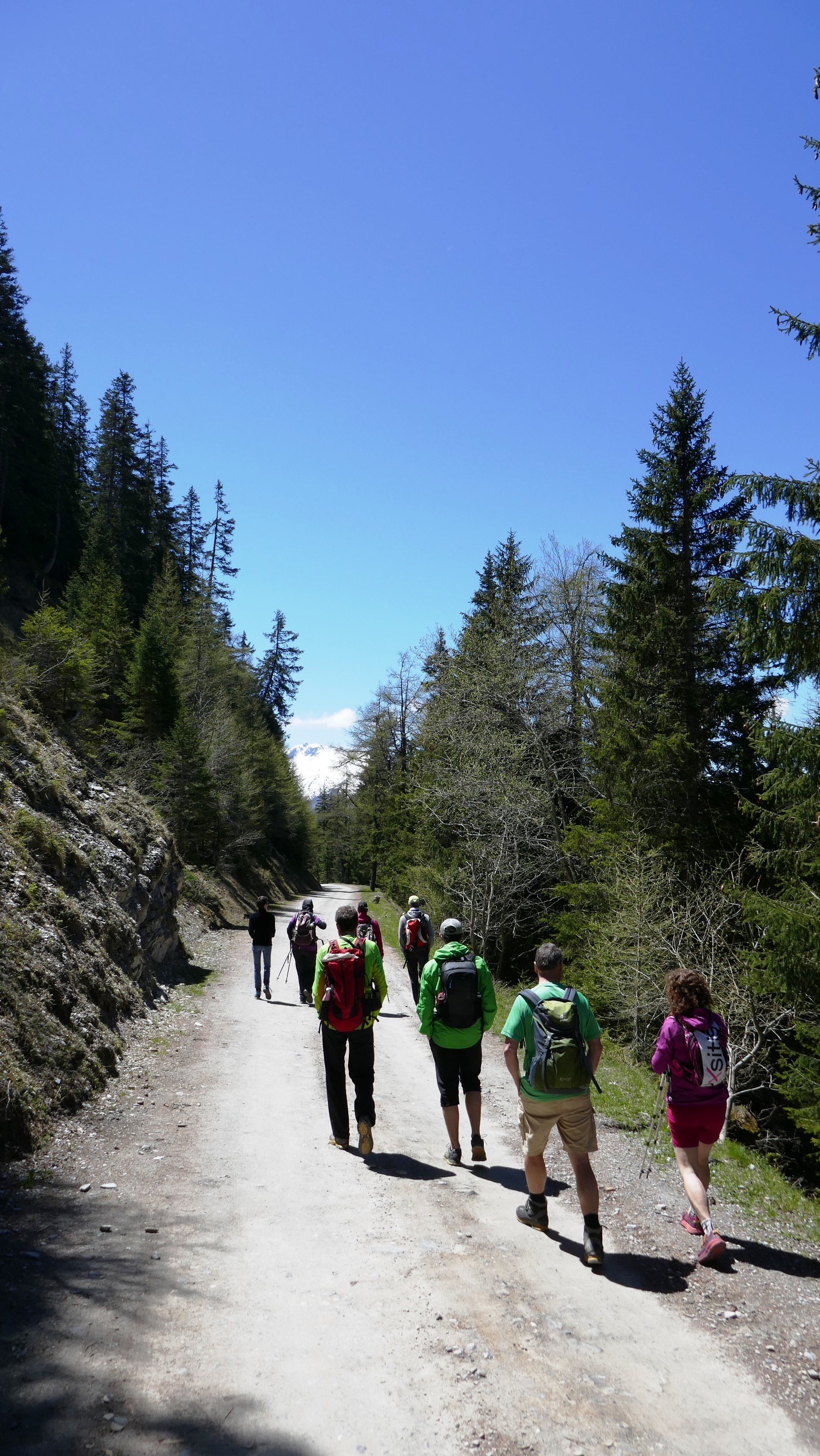 Entre le col du Lein et le col du Tronc