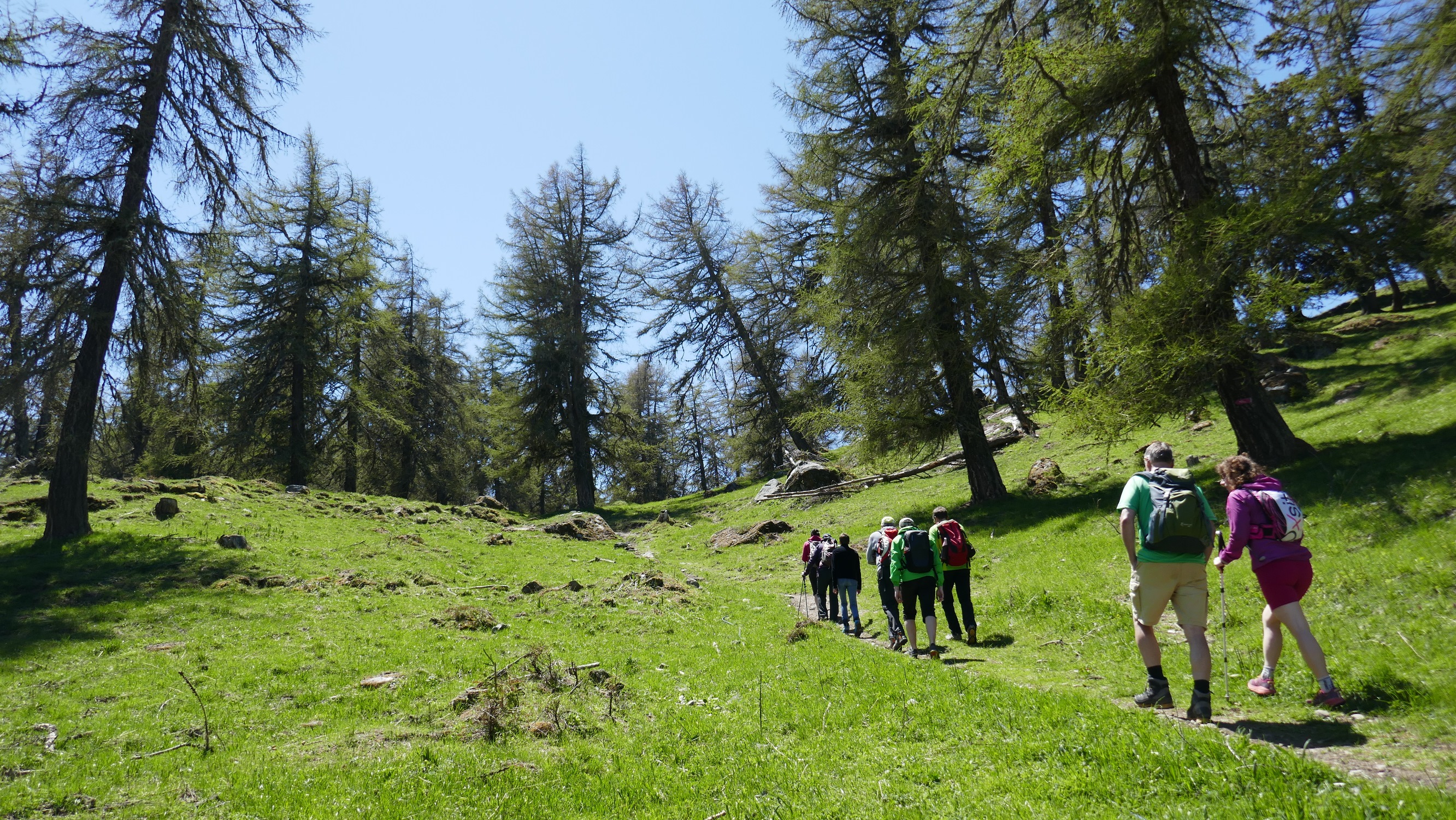 Entre le col du Tronc et la Crevasse