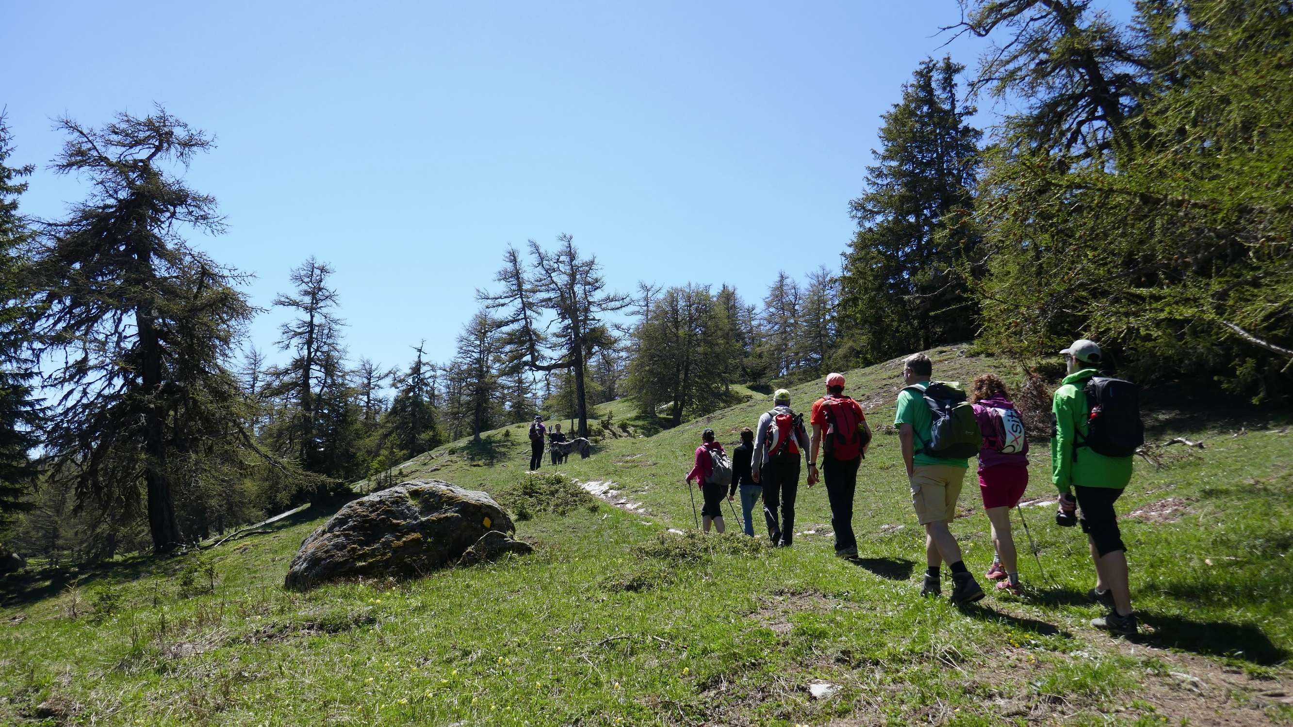 Entre le col du Tronc et la Crevasse