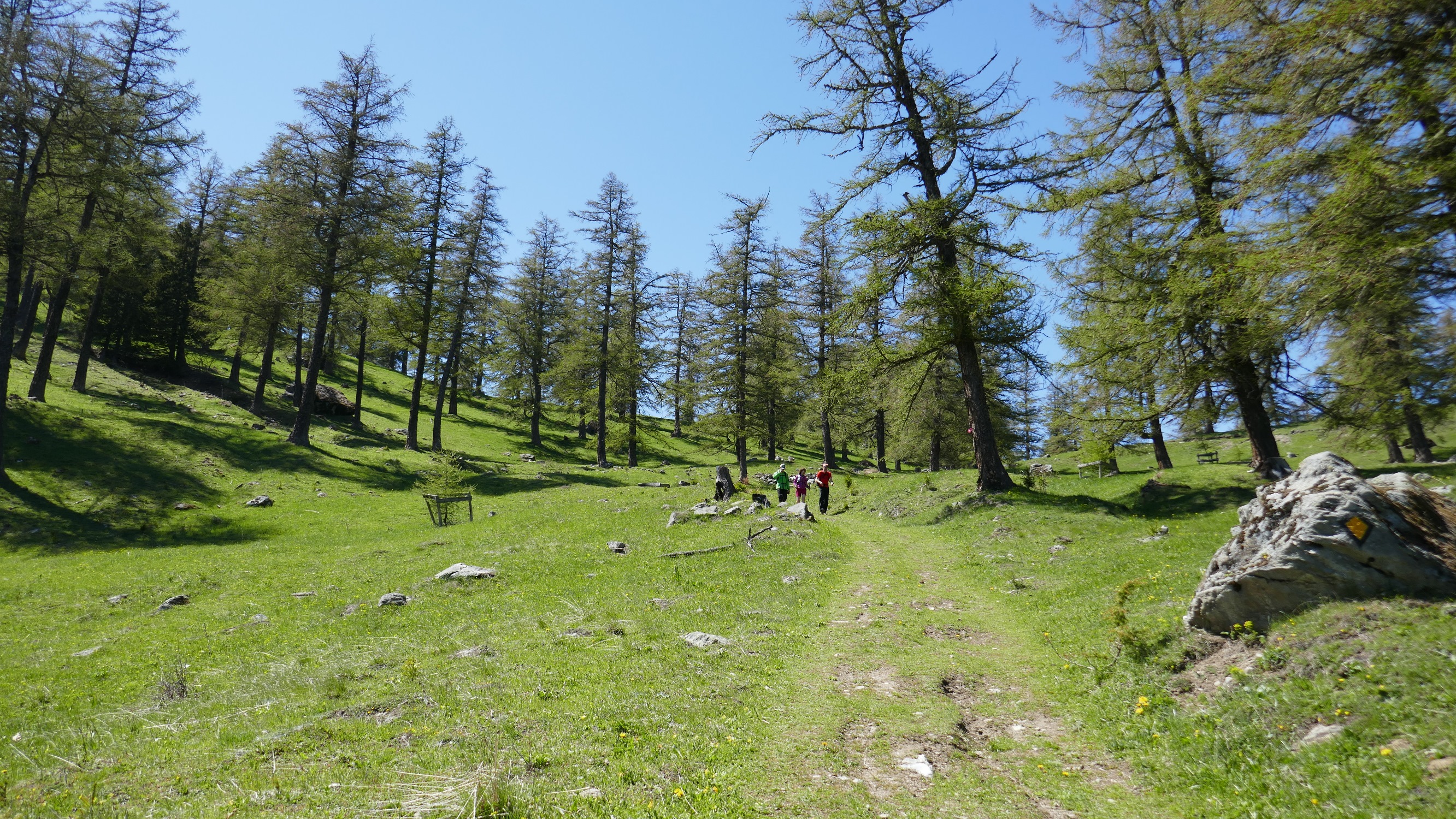 Descente entre le col du Tronc et Levron