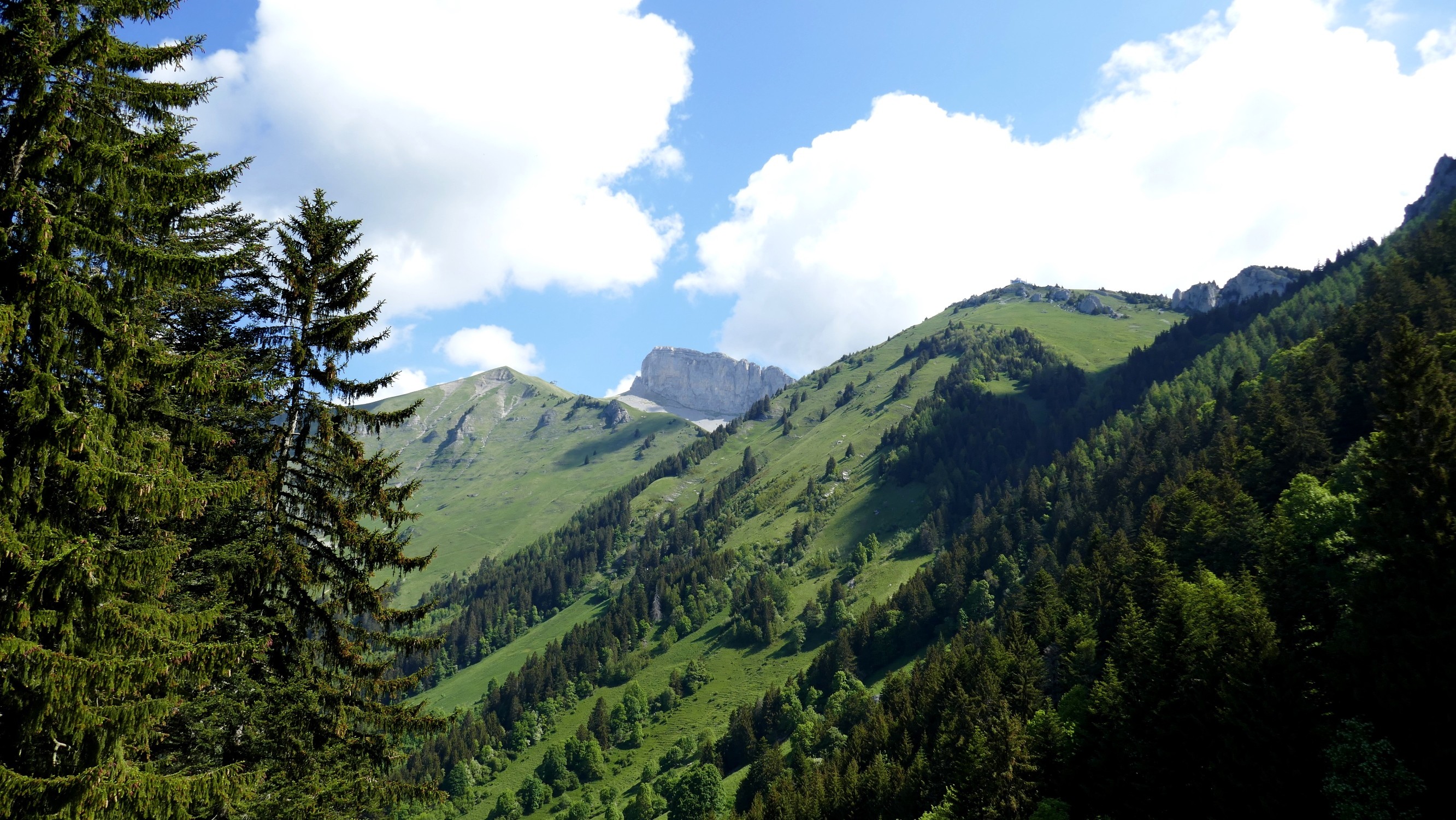 Tour d'Aî et Berneuse