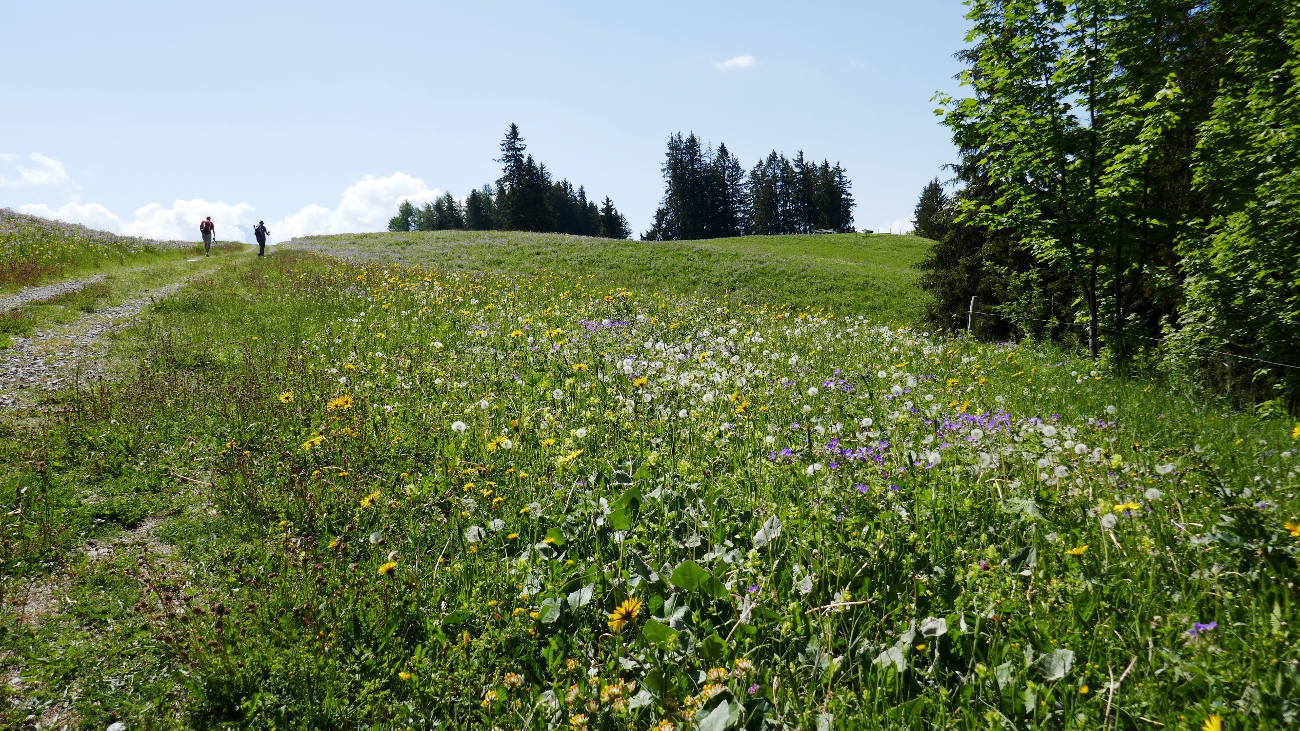 Arrivée à Prafandaz