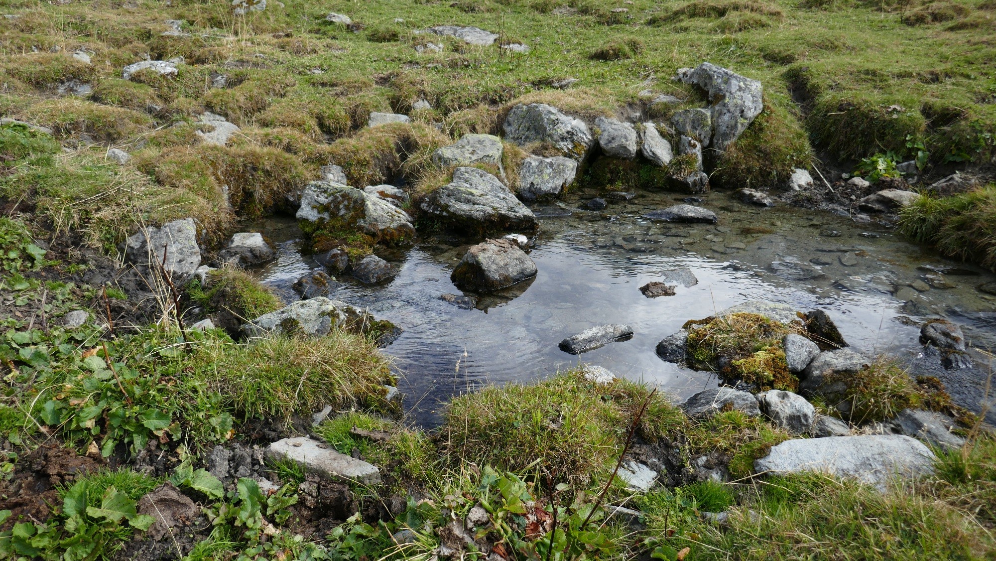 La source en aval du chalet a bien de l'eau alors que celle dessus est à sec