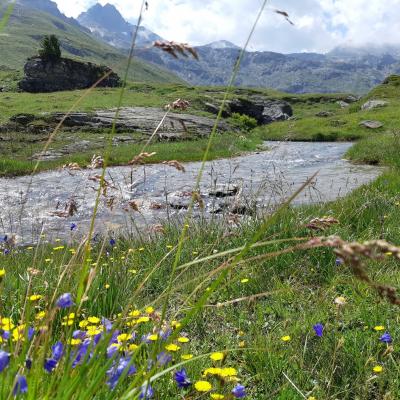 17.07.2023 Vallon de Réchy