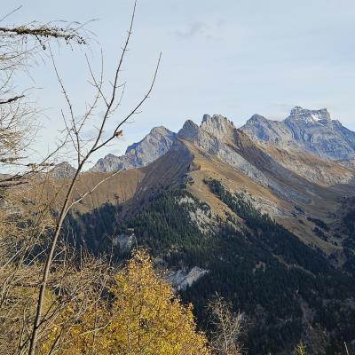 Côté Argentine et Diablerets