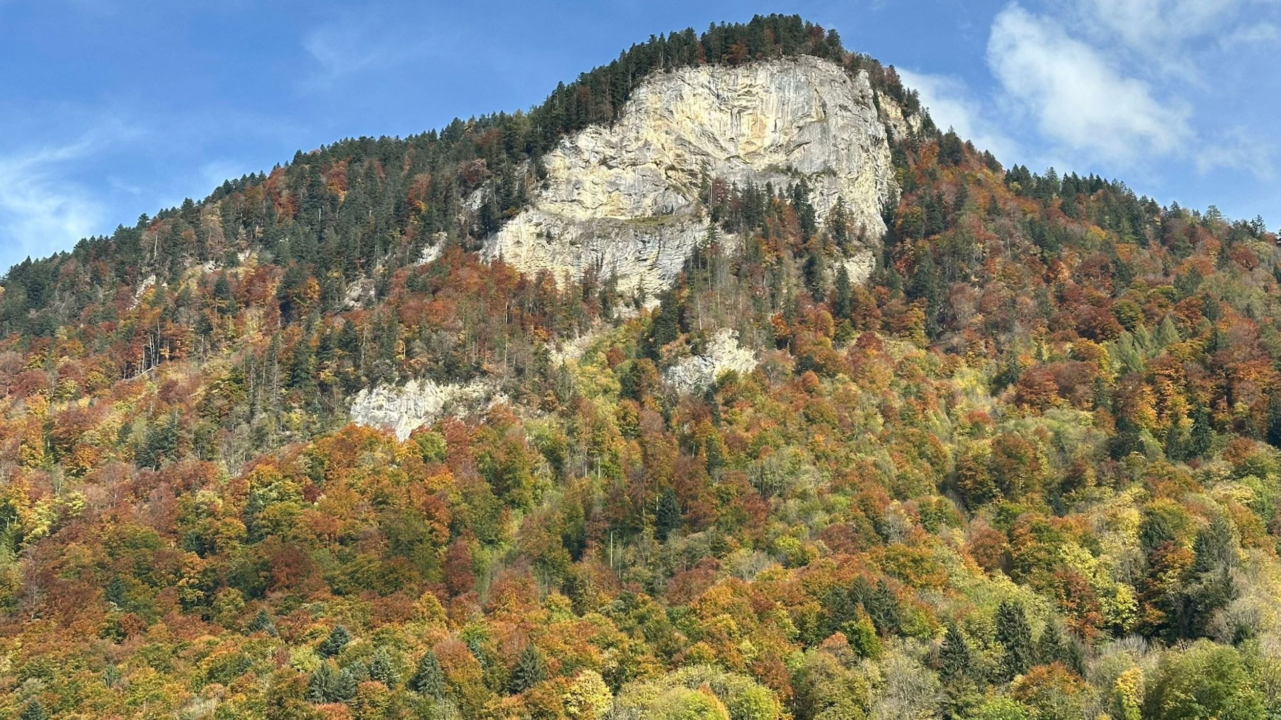 Couleurs d'automne sur Frenières