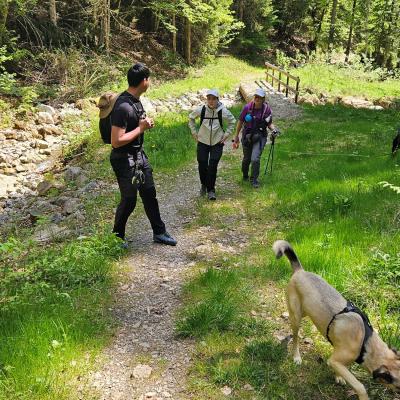 Le long de l'Avançon