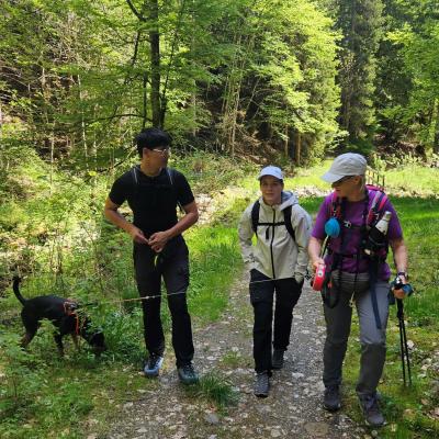 Bastien, Marion, Sylvie