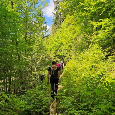 On s'est un peu trompé de chemin mais c'est beau !