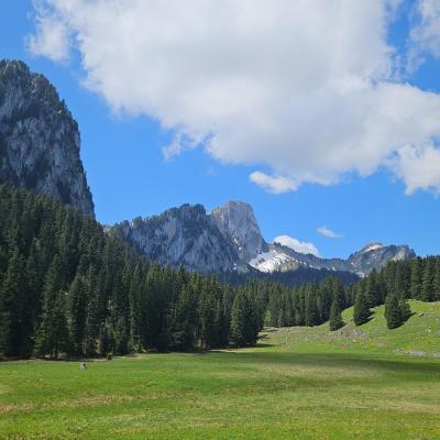 Vallon de Savalène : Braille, Linleu, Sex du Coeur