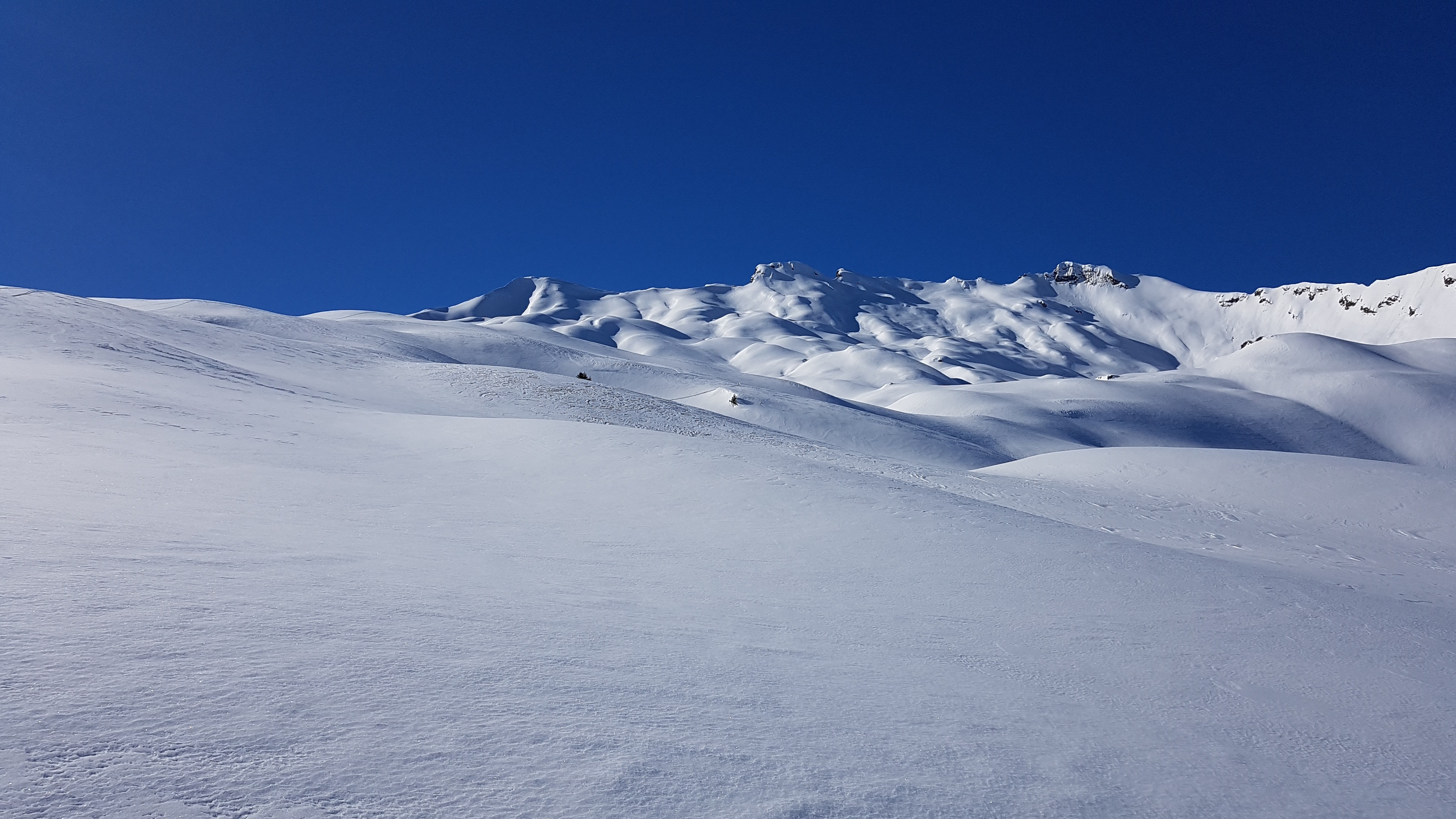 Des champs de poudreuse !