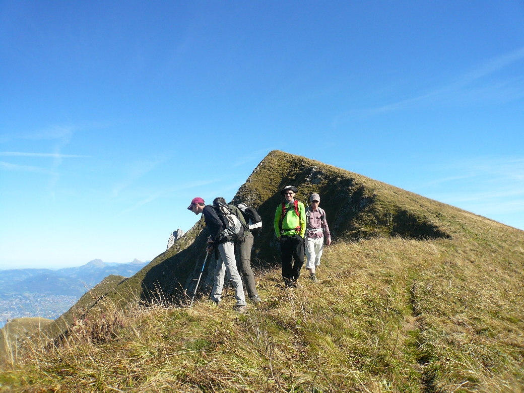 28 Des Bouquetins sous l'arête