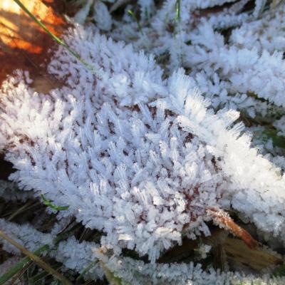 4ème:  Givre au Châtel sur Bex