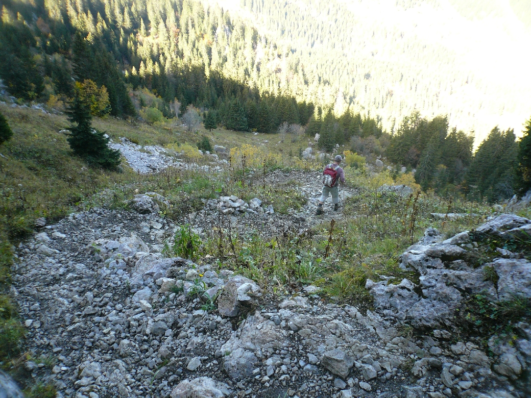 37 Forêt du Plan des Fontaines