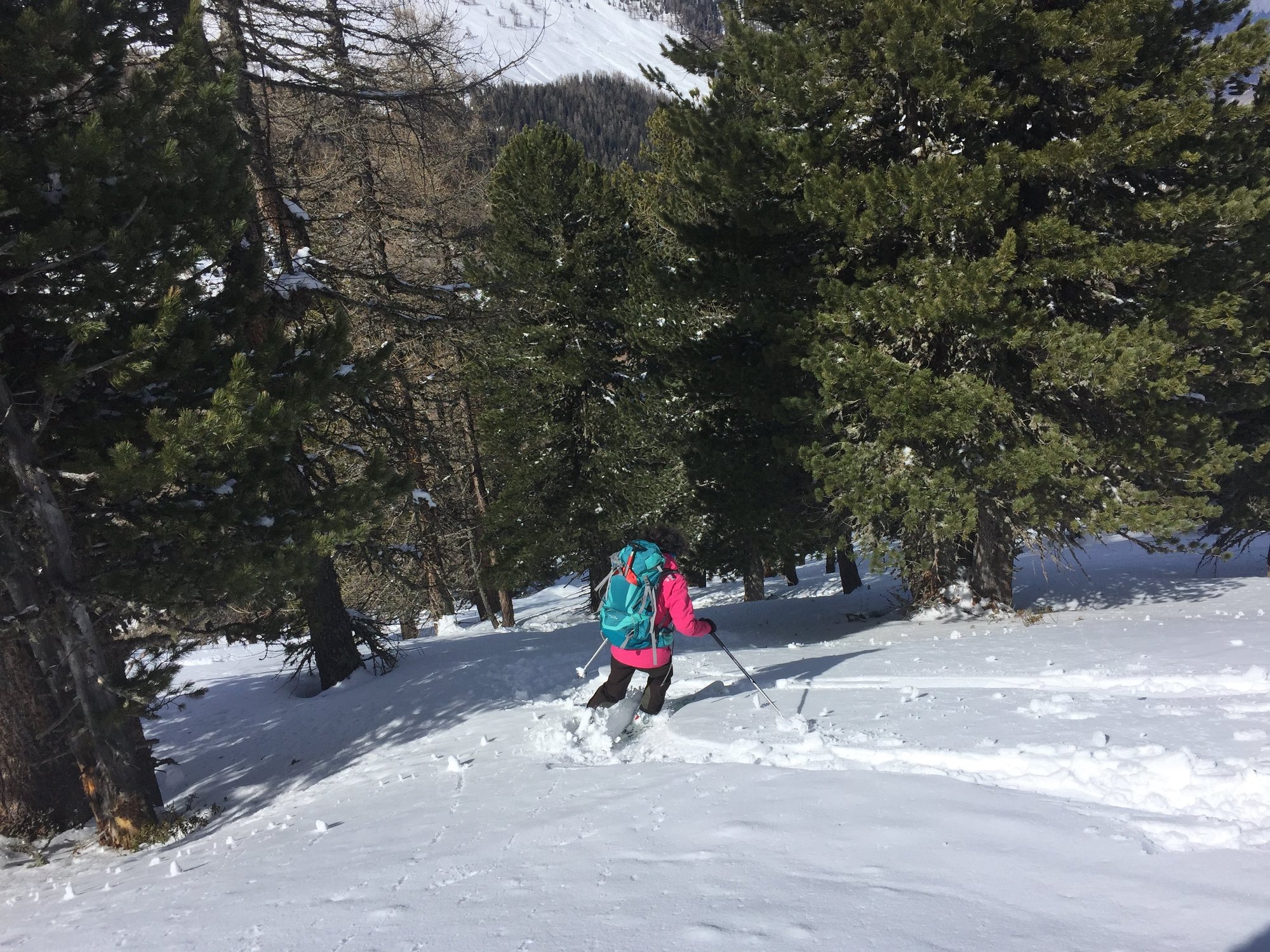 Rachel attaque la forêt