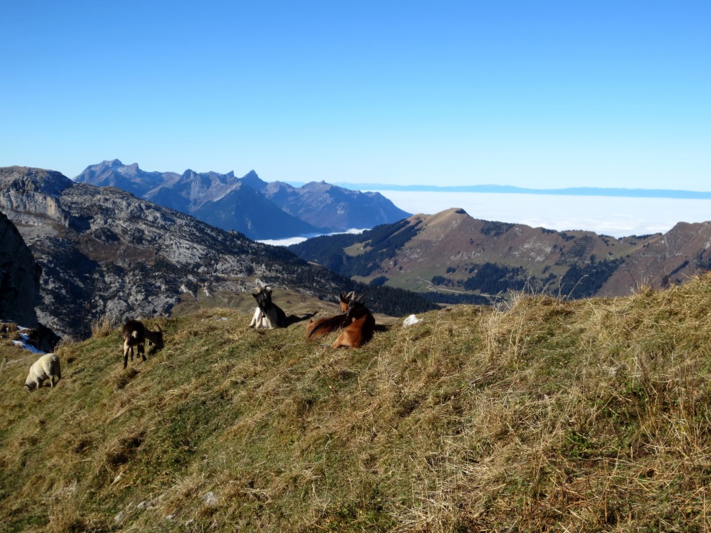 Sommet du Gros Van, Cornettes de Bise et la mer