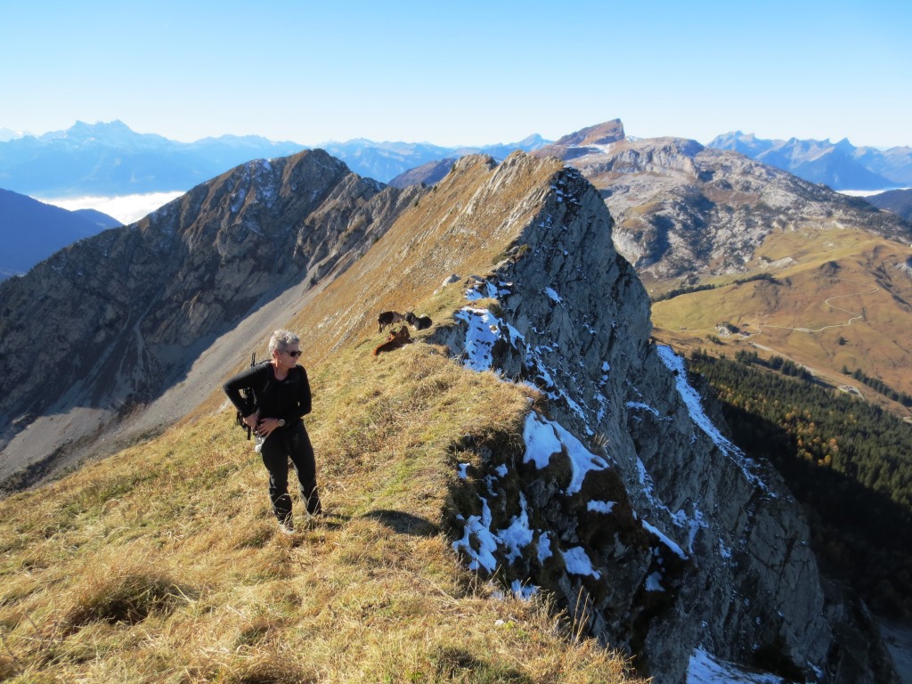 Arête du Mont d'Or depuis le Gros Van. Tour d'Aï, ...