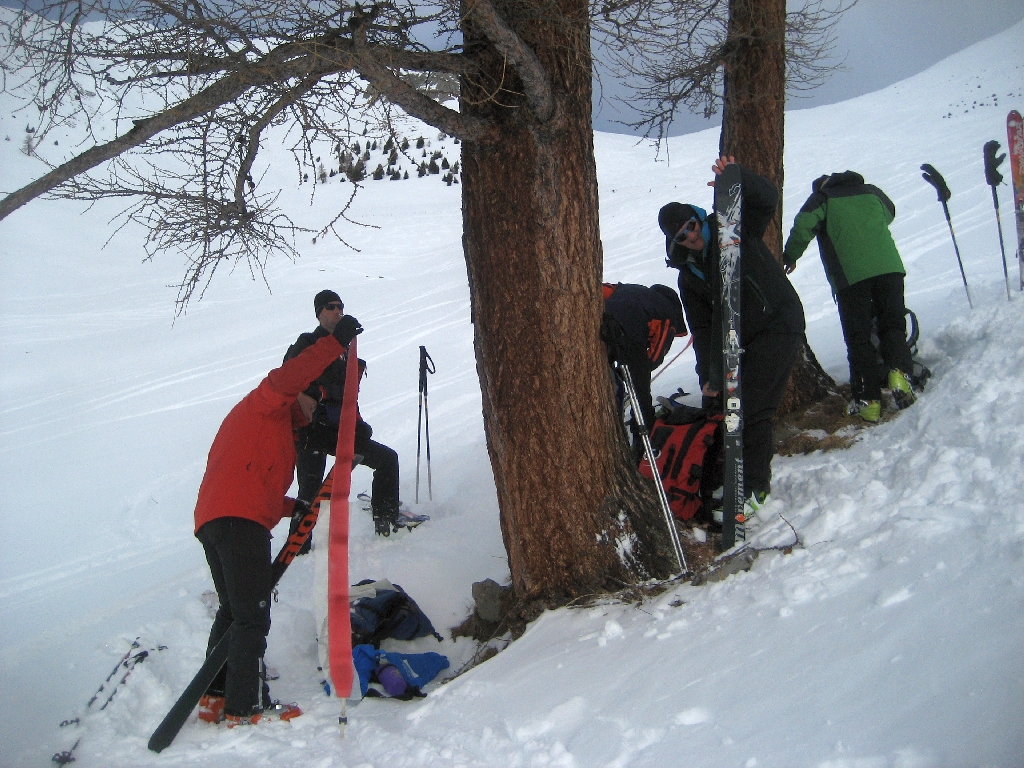 IMG_6624 certains recollent les peaux-1