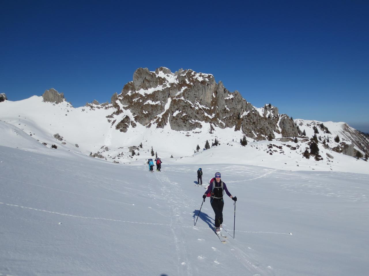 Rochers de Chauffes Floras