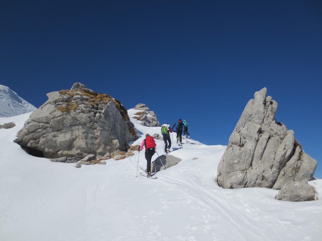 Entre le col de Bise et les Pavis (4)