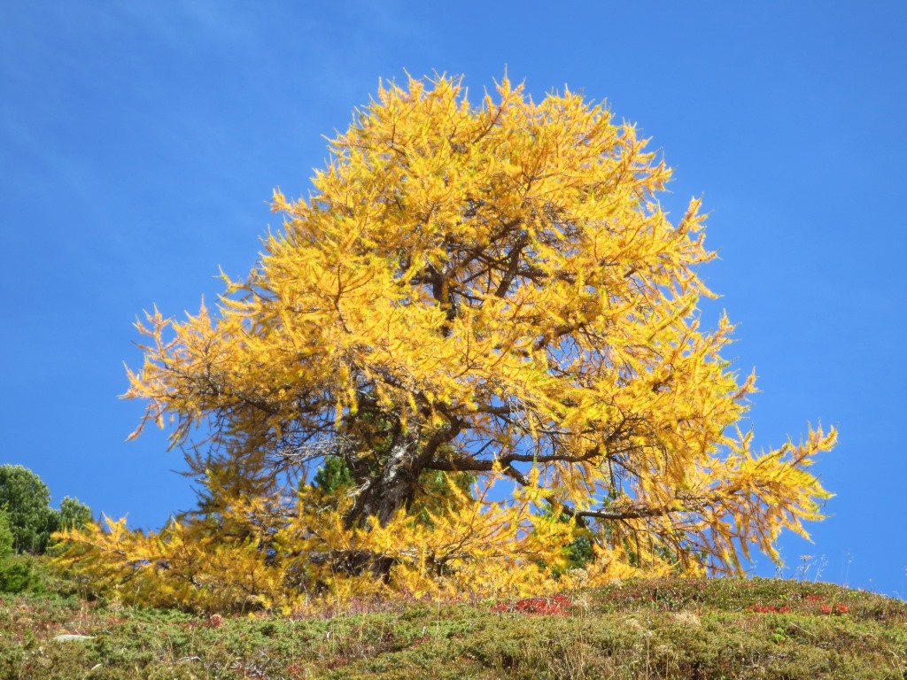 Nous sommes bien en automne !