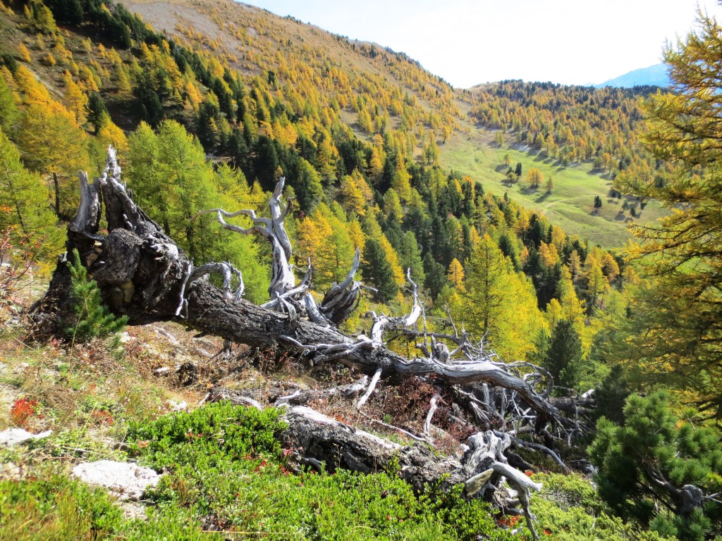 Vue sur notre montée du matin: le Plan de la Ména