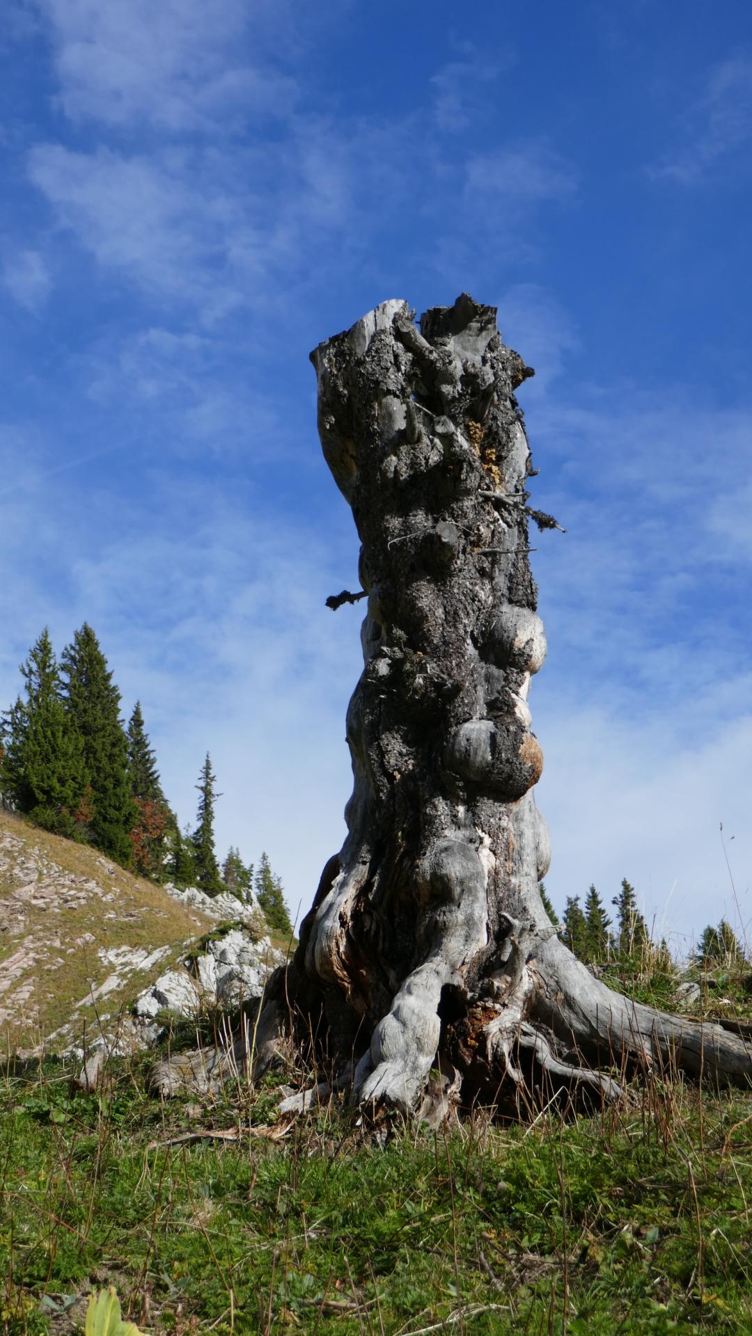 Le Totem de Savalène