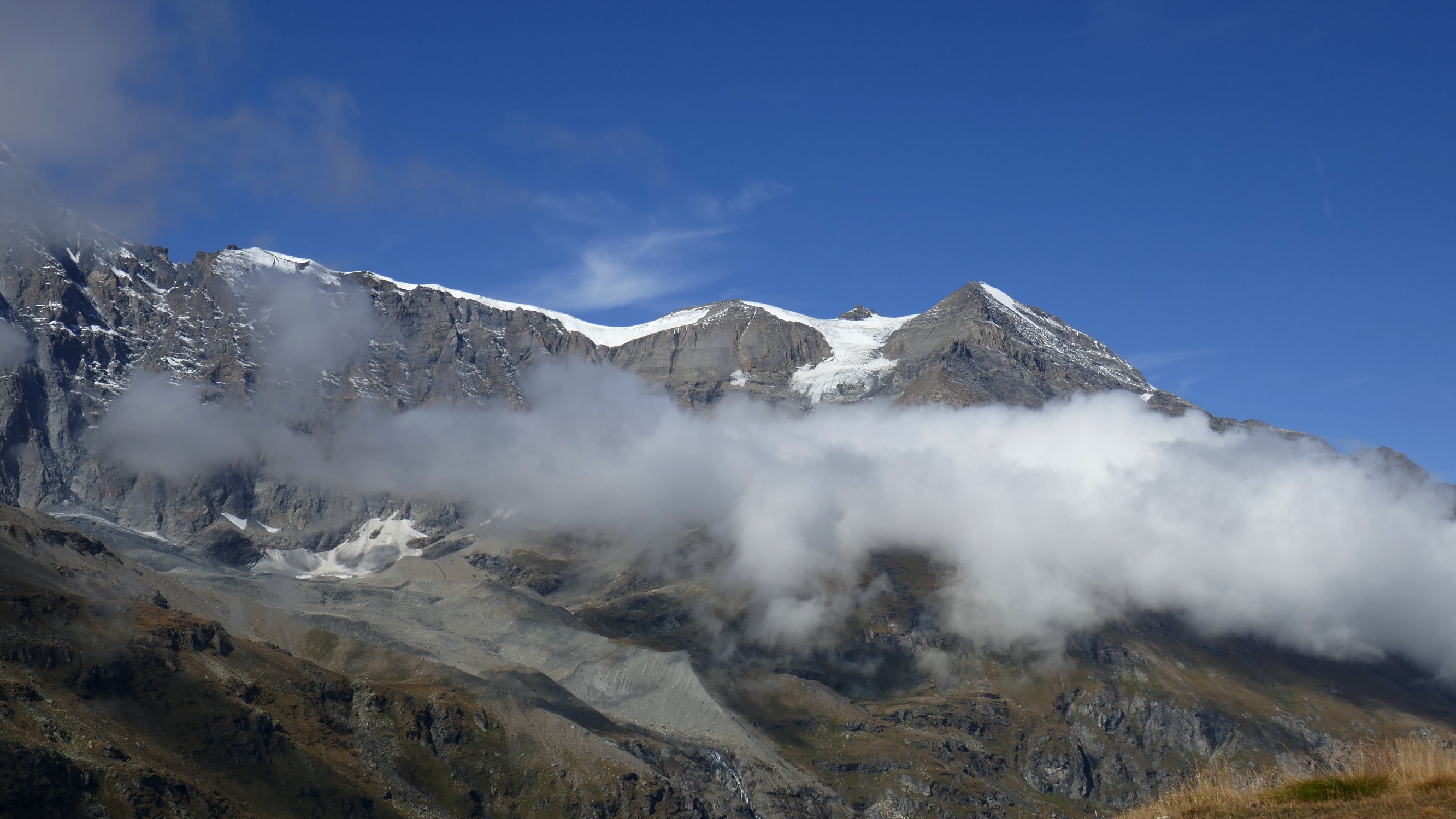 Tournelon Blanc