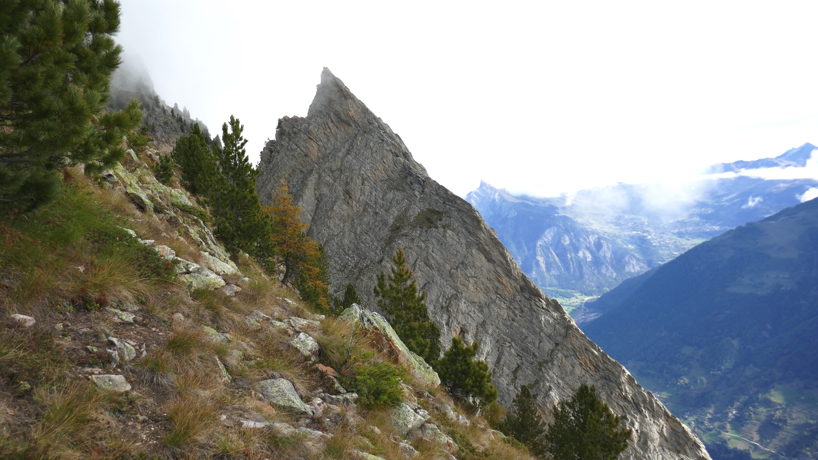 La Li Blanche