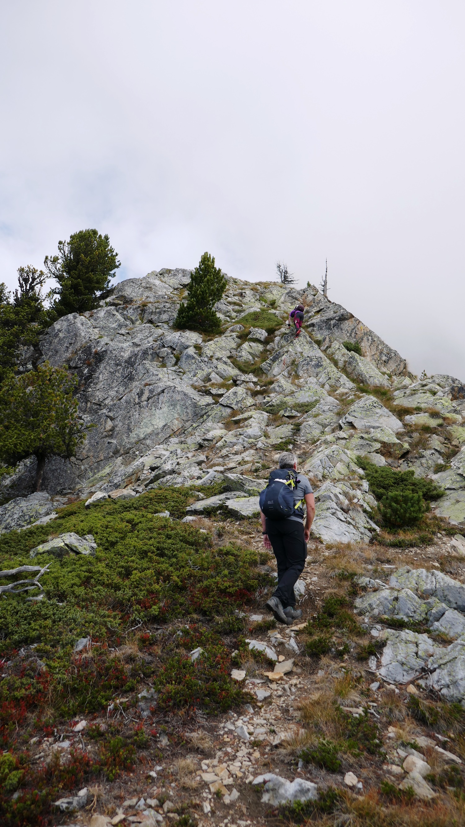 Bientôt en haut