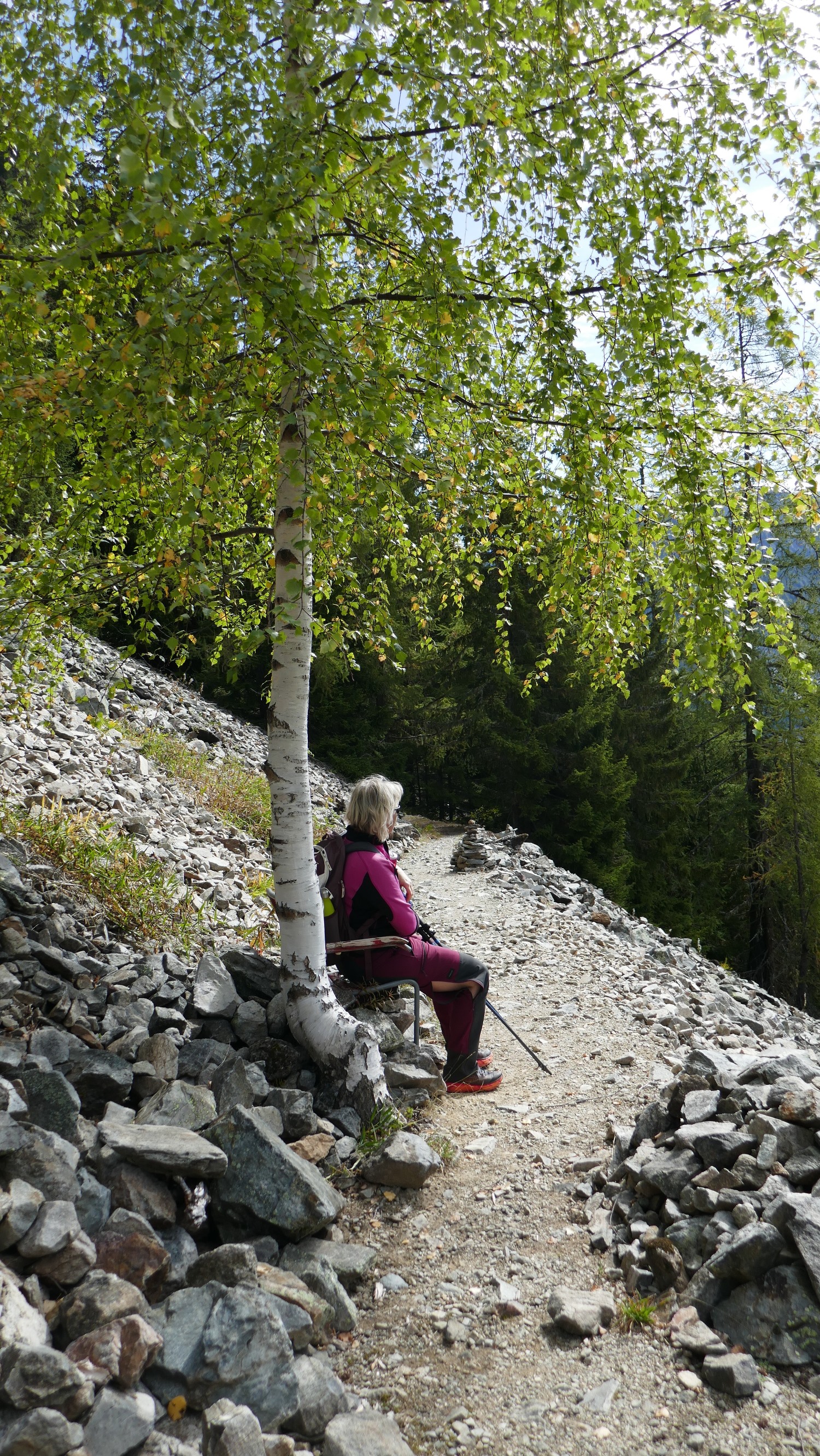 La chaise du bouleau au-dessus de Champex