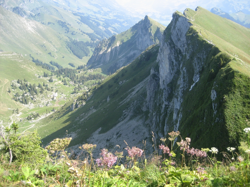 Rochers de Naye18-08-2013-20