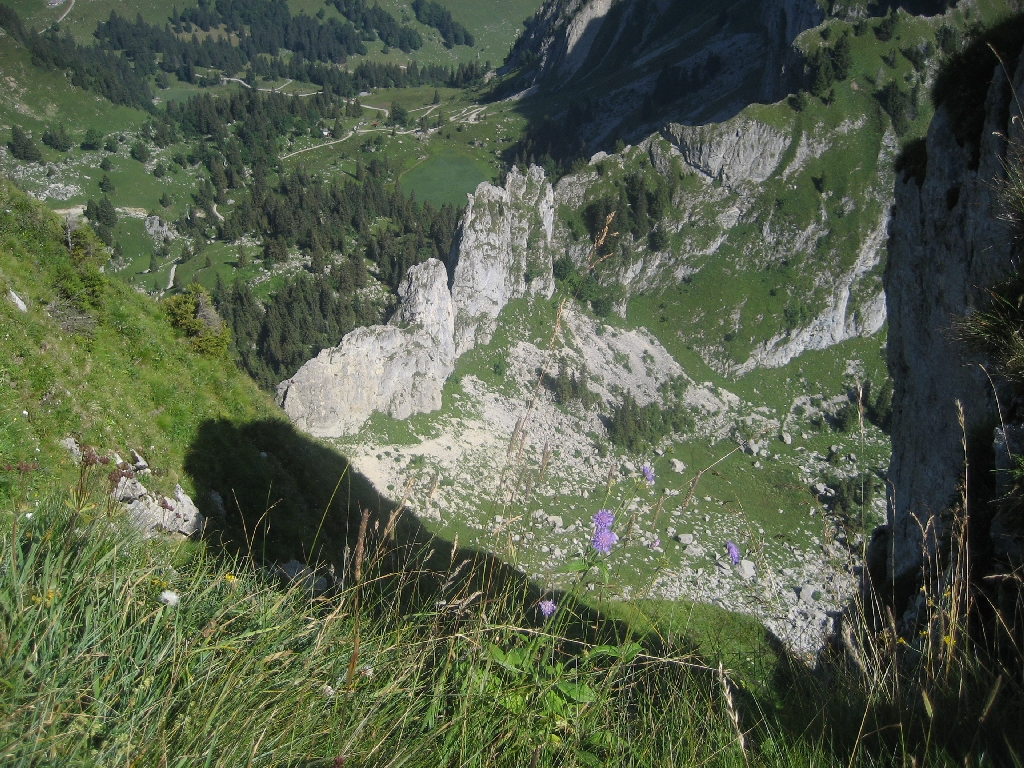 Rochers de Naye18-08-2013-25