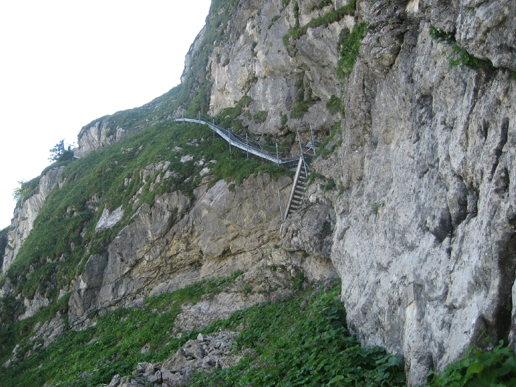 Rochers de Naye18-08-2013-28