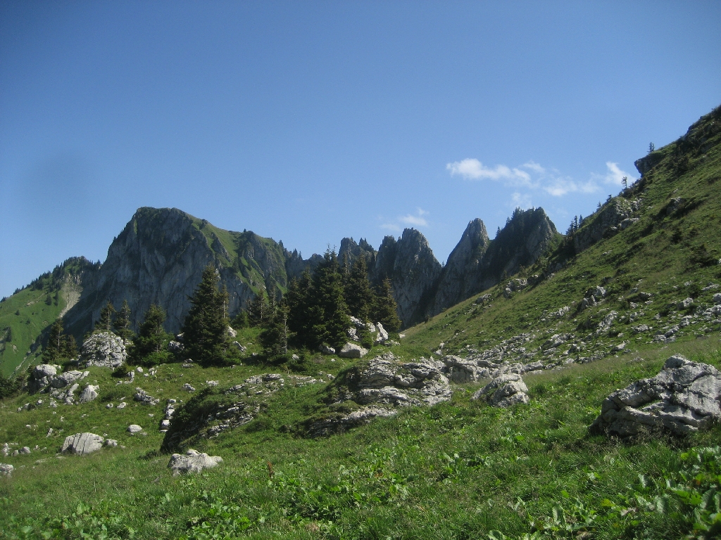 Rochers de Naye18-08-2013-31